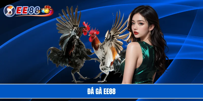 Đá gà EE88