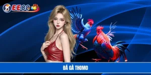 Đá gà Thomo