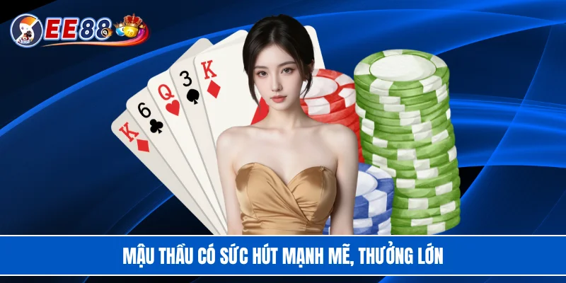 Mậu thầu có sức hút mạnh mẽ, thưởng lớn