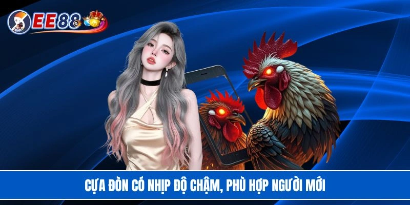 Cựa đòn có nhịp độ chậm, phù hợp người mới
