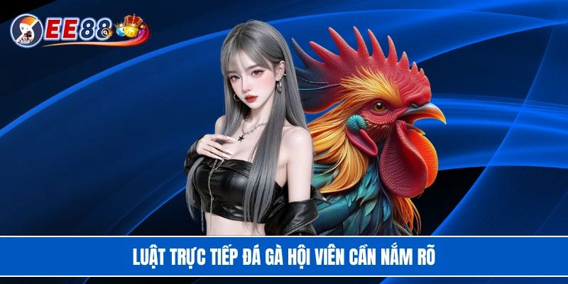 Luật trực tiếp đá gà hội viên cần nắm rõ
